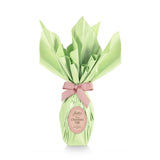 Medium Milk Chocolate Wrapped Egg